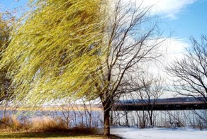 Новый фотоприкол