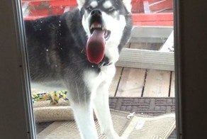 Красивые фото