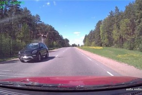 Под Минском на Мерседес выскочила косуля