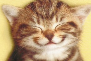 Воскресенье - день отдыха