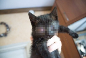 Она всегда была весёлая