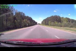 Косуля против Мерседеса