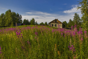 Мечта горожанина