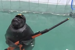 Подборка кубиков