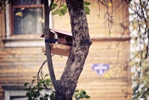 Фото прикол