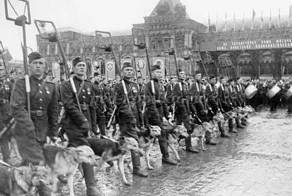 Собаки – герои Великой Отечественной войны