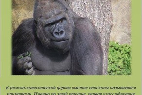 Интересные и познавательные факты 