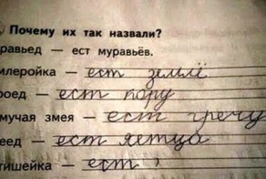 Школьные приколы из тетрадей и дневников