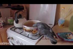  Такой наглости вы еще не видели