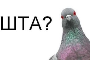 Чет пАдАзрительнА