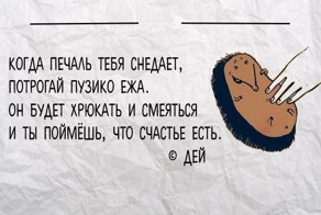 10 смешных и глубокомысленных стихотворений про ежей