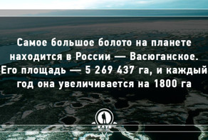 11 интересных фактов о воде
