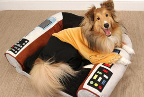 37 оригинальных товаров для ваших питомцев