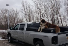 Фотоприкол