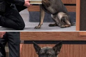 Прикол картинка