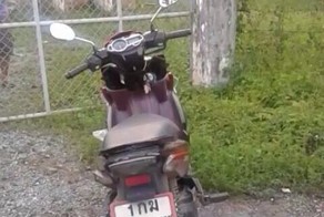 Неудачно полазил по вышке