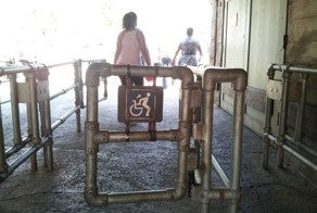 Смешная фотогалерея