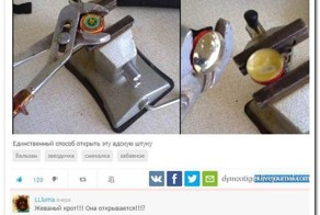 Смешные комментарии из социальных сетей 15.05.15