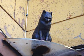 Сага о блокадных котах