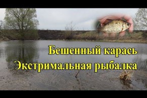 Пожарище, Экстримальная рыбалка и бешенный карась