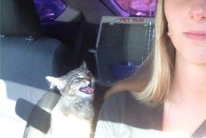 Бугагашеньки