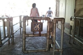 Свежий фотоприкол