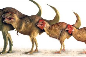 Юрские куры: ученые заставили эмбрионов цыплят развиваться как динозав