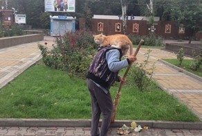 Ничего необычного, просто дворник со своим котом