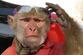 Небольшая подборка Аткрыток