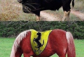 Фотоальбом