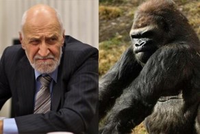 Дроздов — царь зверей!