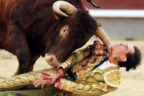 Бык неслабо забодал тореадора