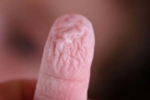 Почему наши пальцы рук и ног становятся морщинистыми, от долгого пребывания в воде