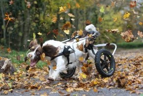 Прикольные фото и картинки от zubrilov за 18.04.2013 №153676