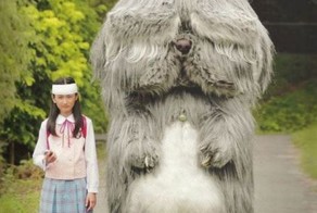 Фотоприкол