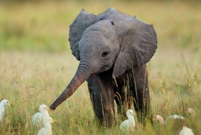 Фото онлайн