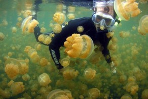 Интересные фотографии