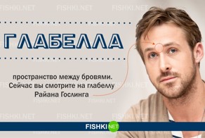 20 слов, которые вы скорее всего не знали
