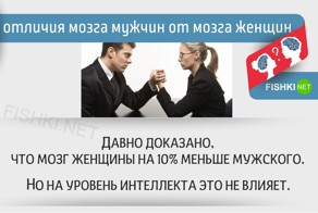 20 отличий мозга мужчин от мозга женщин