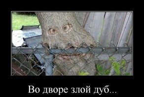 Подборка демотиваторов