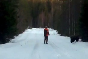 Что делать, если вы повстречали медведя