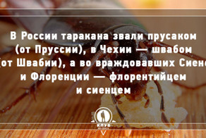 10 интересных фактов о мире