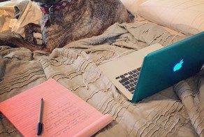 26 собак, которые расскажут своим видом всё о учёбе