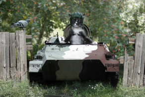 Из архивов — про кота Шульберта