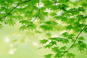 Помогите советом пожалуйста