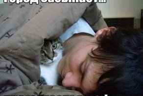 Бесплатно фото