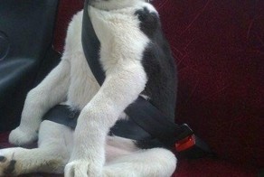 Главное — безопасность