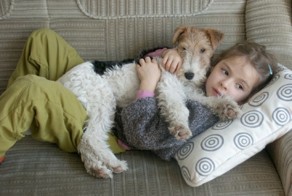 Даша и Фокс