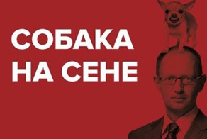 Яценюк: Киев не обязан отчитываться перед миром за их деньги!
