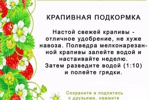 Полезные советы для огородников